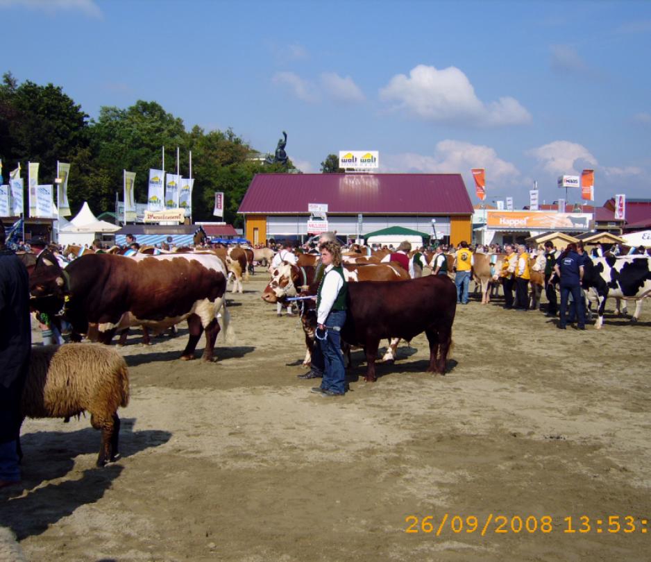 ZLF 2008